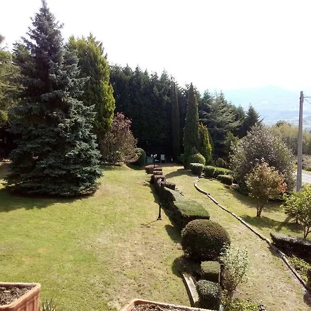Urrezko Ametsa