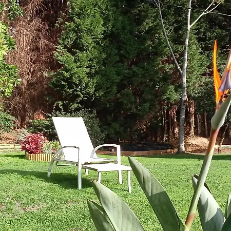 Urrezko Ametsa Sopuerta