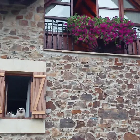 Urrezko Ametsa * Sopuerta