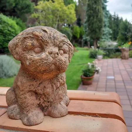 Urrezko Ametsa * Sopuerta