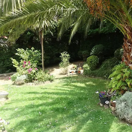 Urrezko Ametsa * Sopuerta