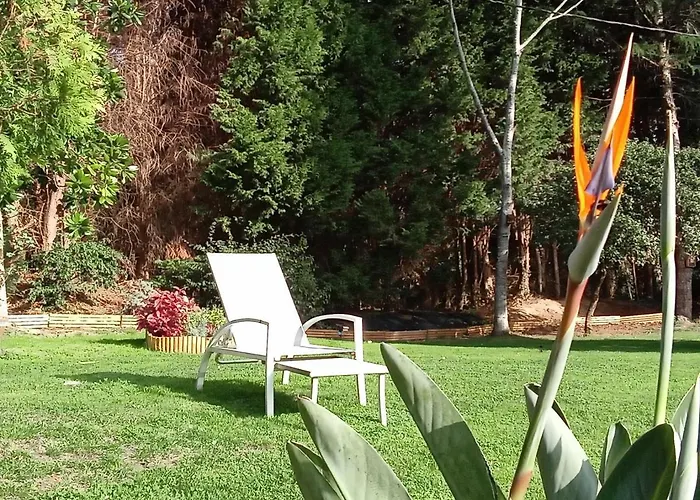 Urrezko Ametsa Sopuerta