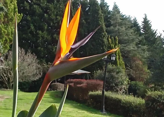 Country house Urrezko Ametsa