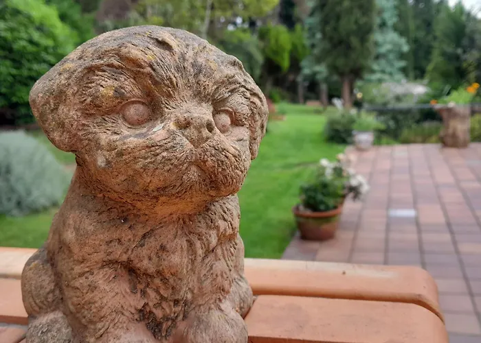 Urrezko Ametsa * Sopuerta