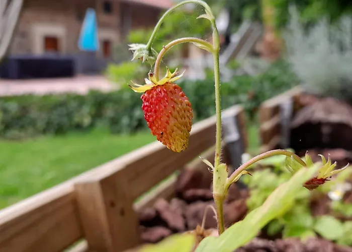 Country house Urrezko Ametsa Sopuerta